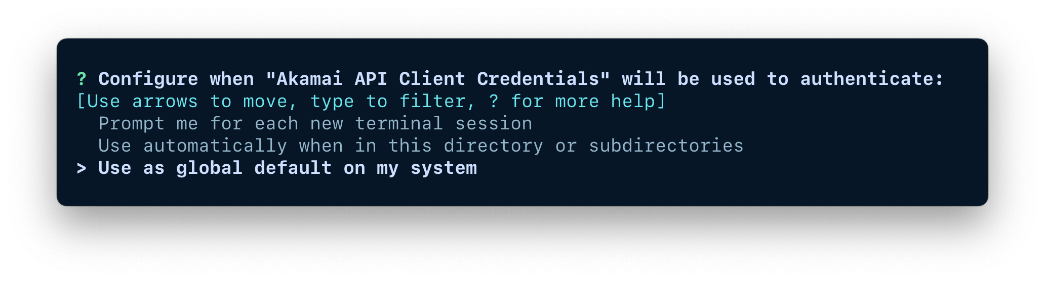 A terminal window showing the options for configuring when the credentials should be used.