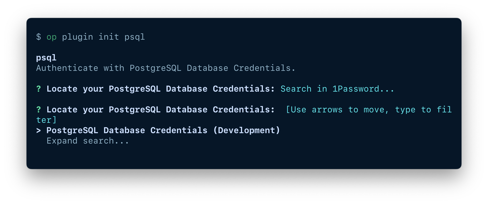 Use 1password to authenticate psql with biometrics 1password developer