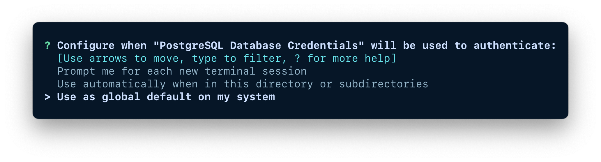 A terminal window showing the options for configuring when the credentials should be used.