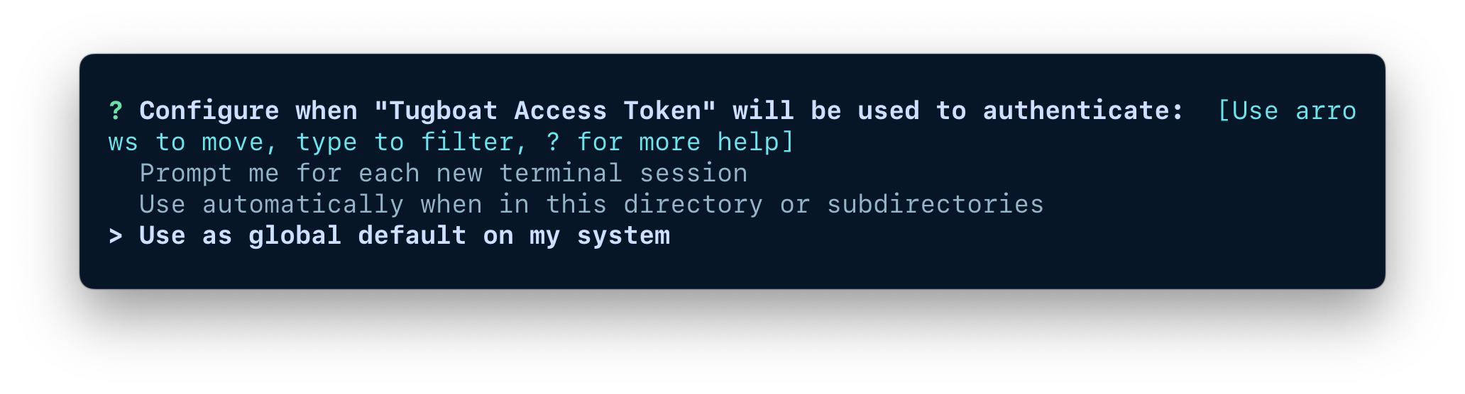 A terminal window showing the options for configuring when the credentials should be used.